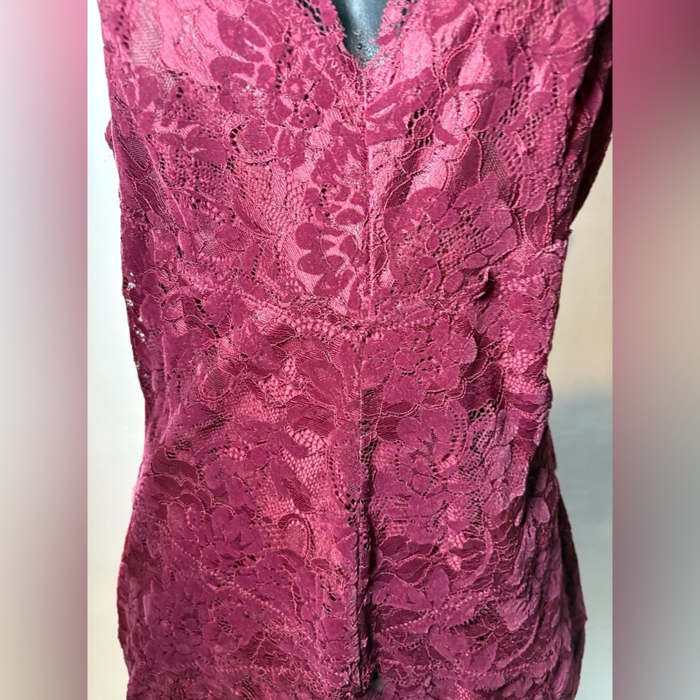 Guess Burgundy - Red Lace and Velvet Dress - Picture 6 of 9